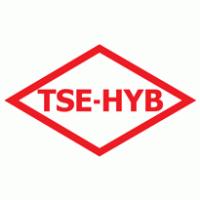 tsee1.JPG